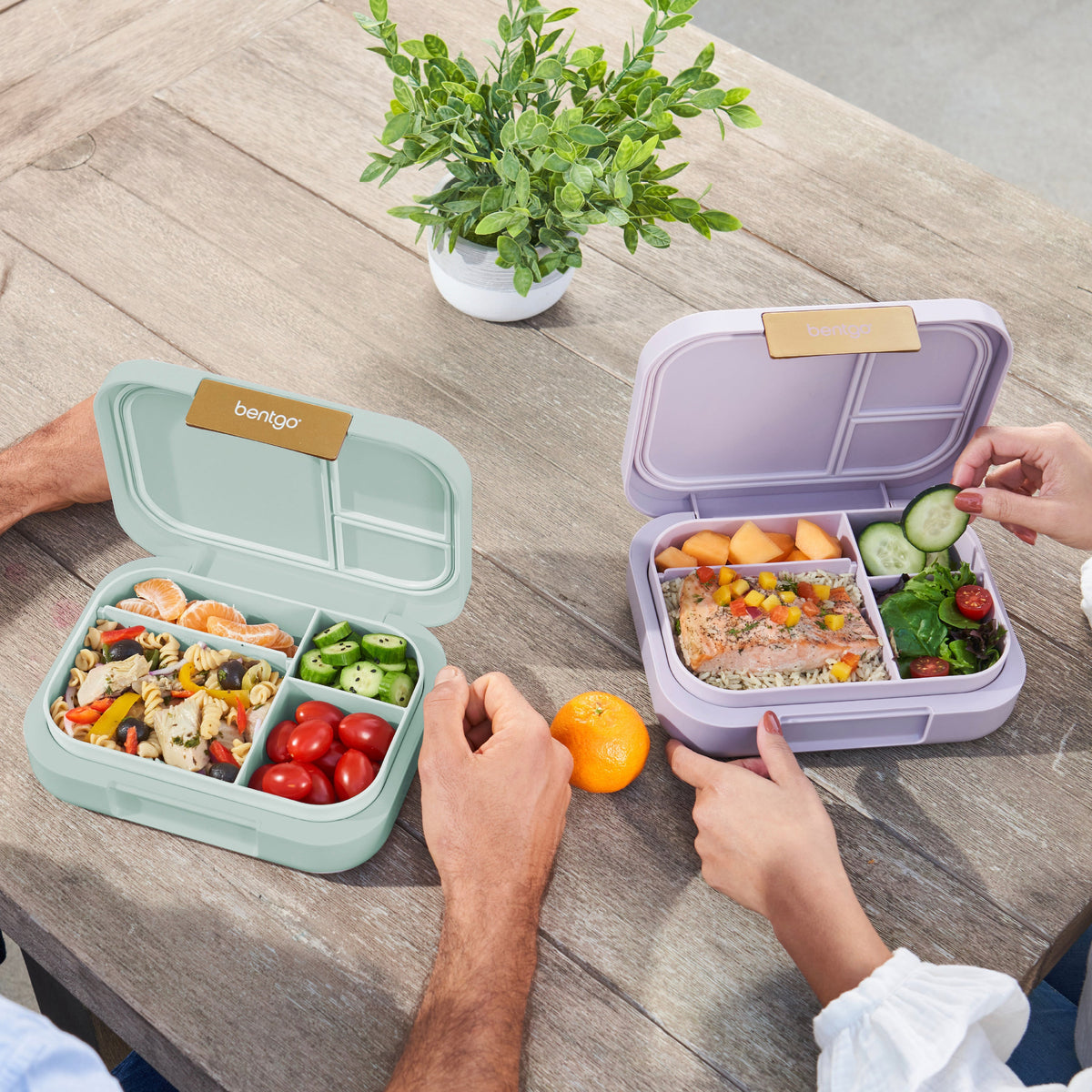 bentgo-modern-lunch-box-2-pack-o1 COSTCOBMCPRODUCTIMAGE_2.jpg